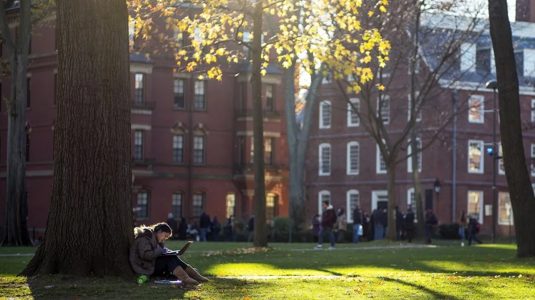 harvard