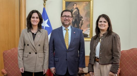 Ministerio de Relaciones Exteriores impulsa candidatura de Carmen Domínguez al Comité de los Derechos del Niño de la ONU
