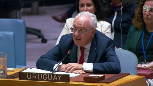 Ministro Lubetkin expuso en el Consejo de Seguridad de ONU